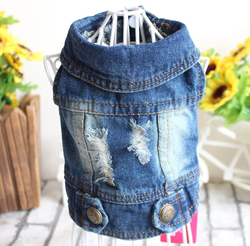 Denim Dog Jacket with Hood