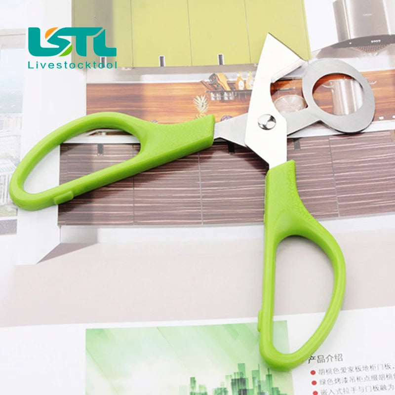 Pigeon Quail Egg Scissor