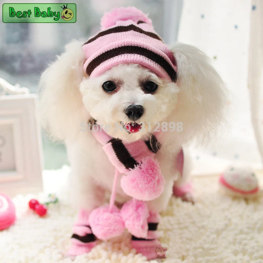 Winter Dog Accessories Set