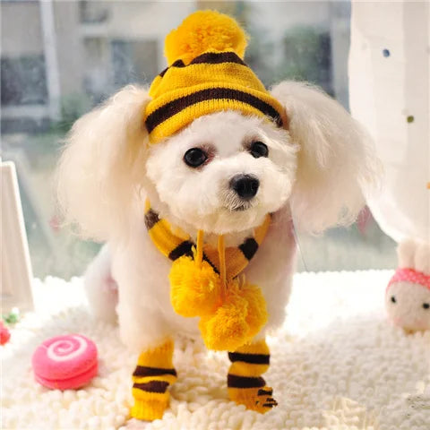 Winter Dog Accessories Set