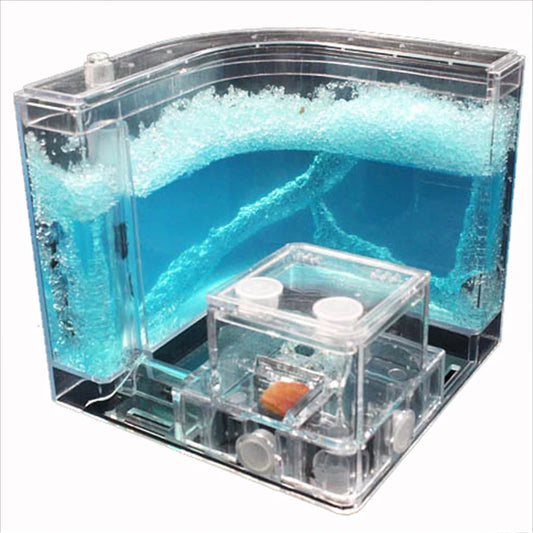 Acrylic Ant Farm Habitat with Nutrient Gel