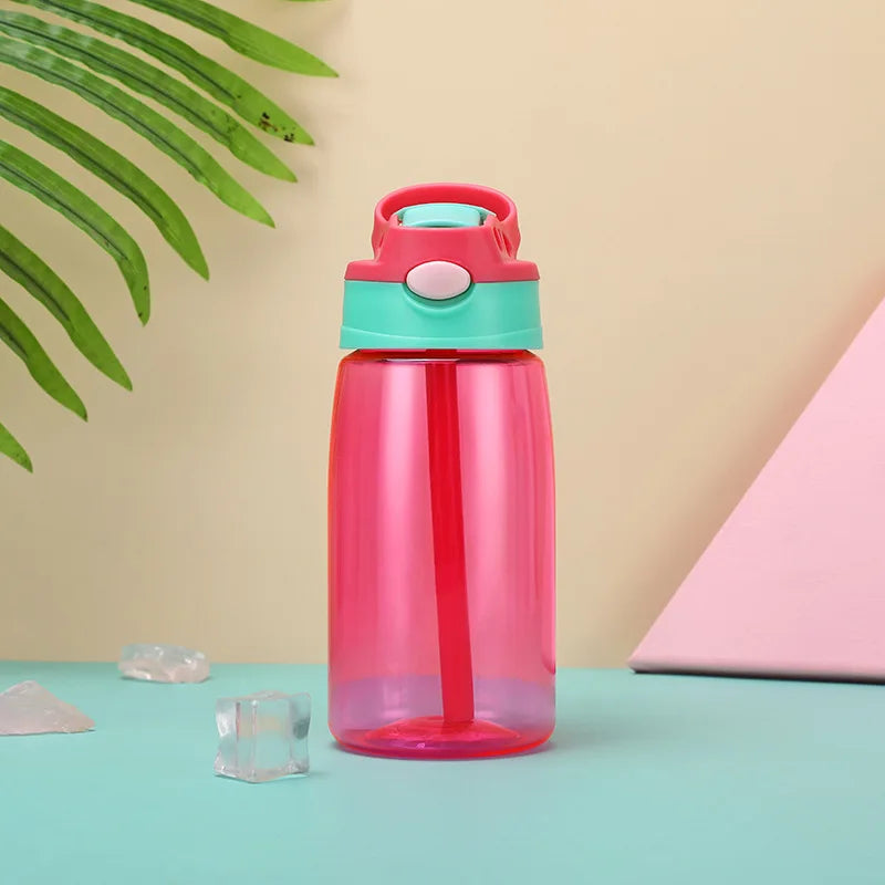 480ml Water Bottle With Straw