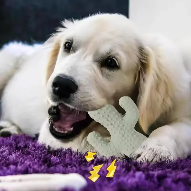 Cactus Dog Chew Toy for Aggressive Chewers