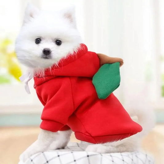 Cute Fruit Pet Hoodie Costume