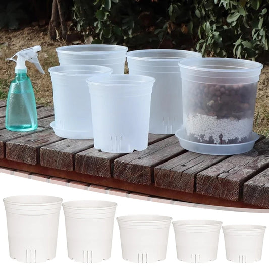 Transparent Plastic Nursery Plant Pot