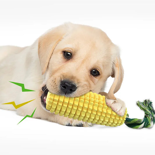 Corn Chew Squeaky Dog Toy
