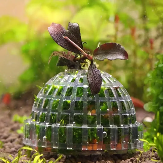 Aquarium Moss Dome Plant Holder