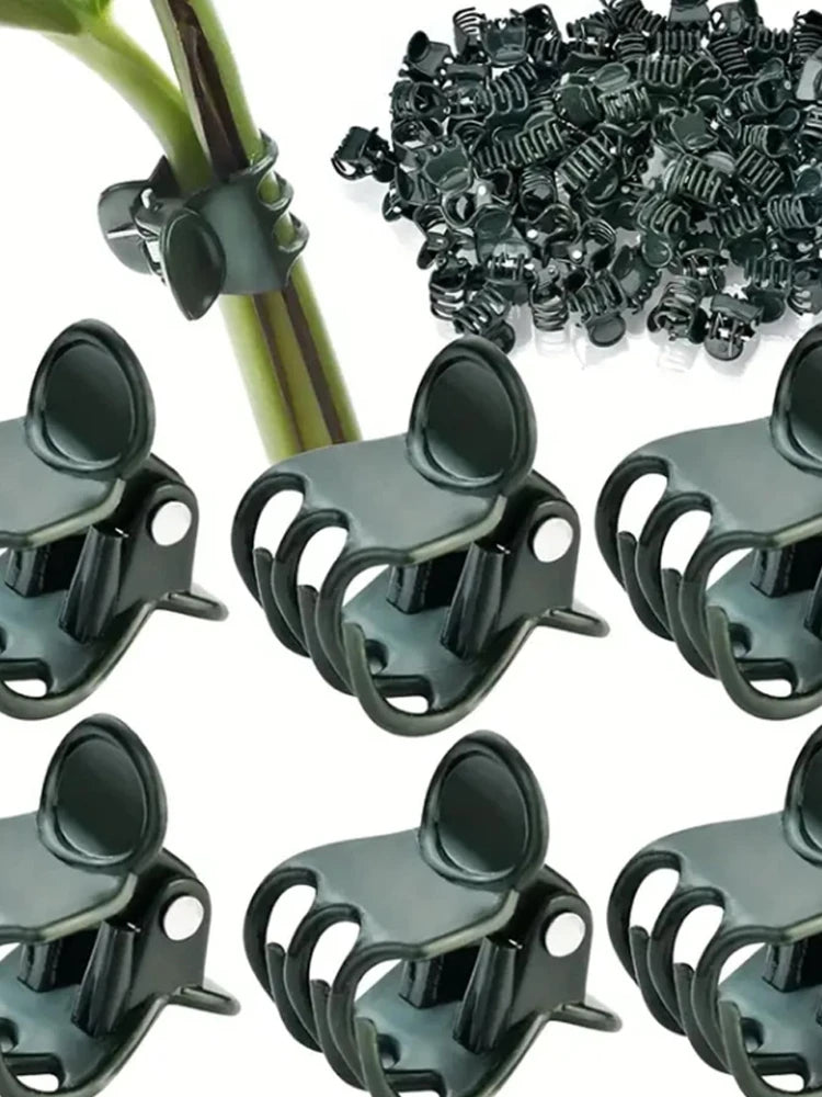 Plant Support Clips for Orchids & Vines