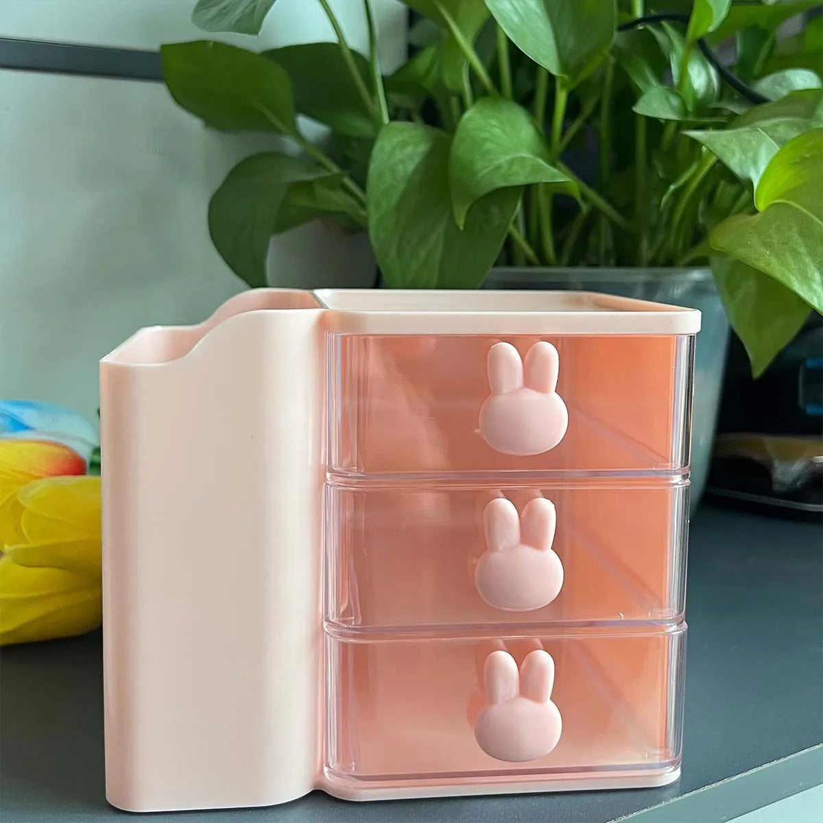 Desktop Organizer WIth Drawer