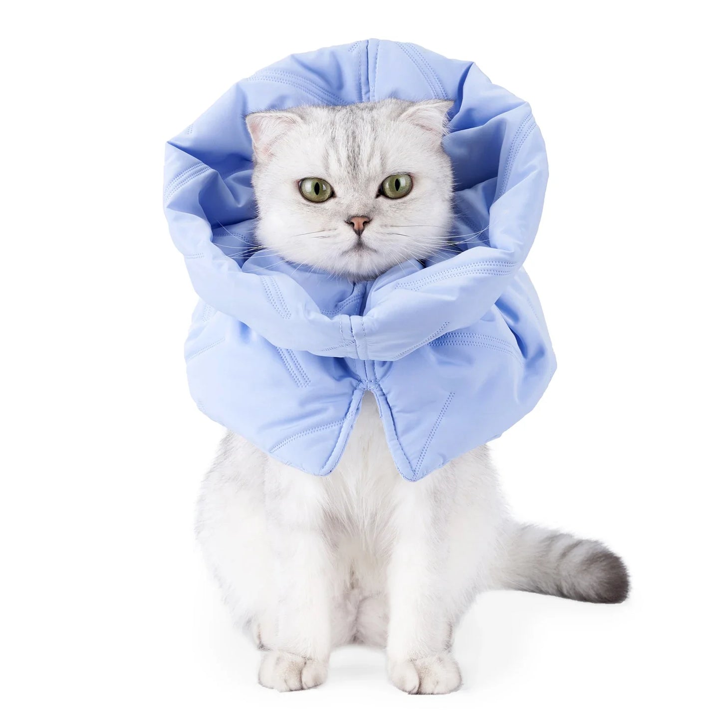 Adjustable Cat Recovery Cone Collar