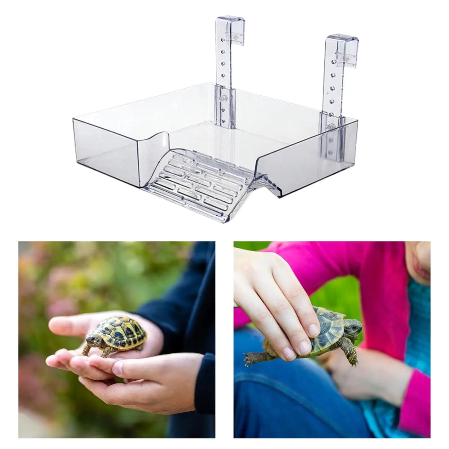 Transparent Hanging Turtle Basking Platform