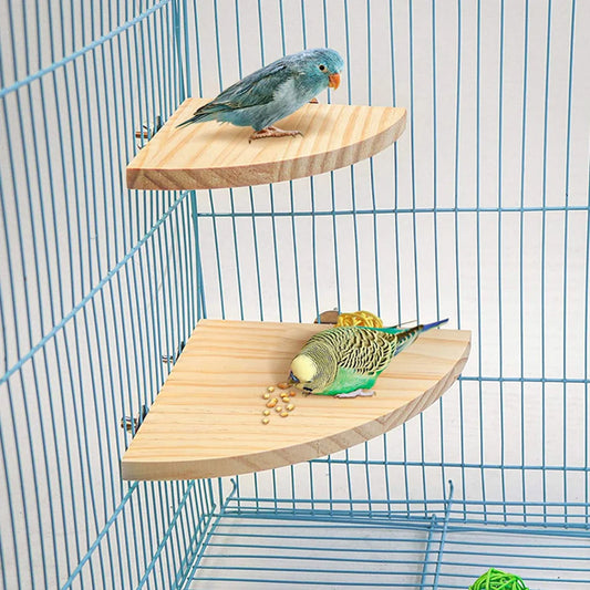 Parrot Bird Wood Perch Stand