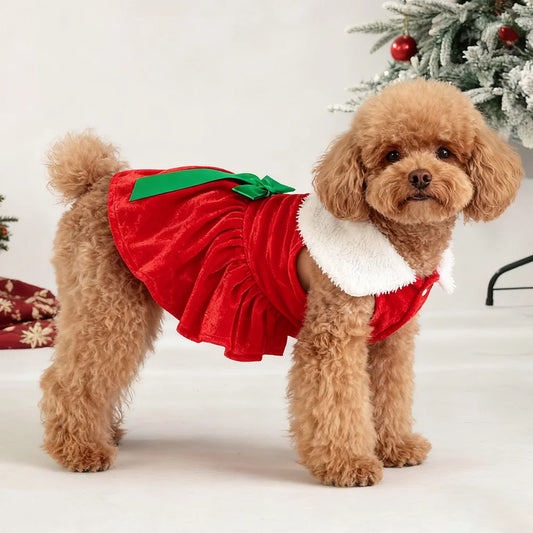 Christmas Dog Dress for Small Dogs & Cats