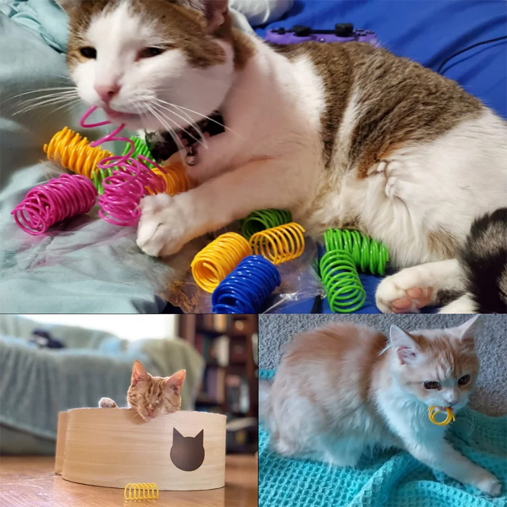 Colorful Cat Spring Spiral Toy Set