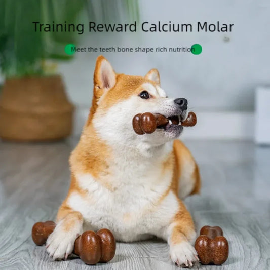 Natural Dog Bone Chew Toy