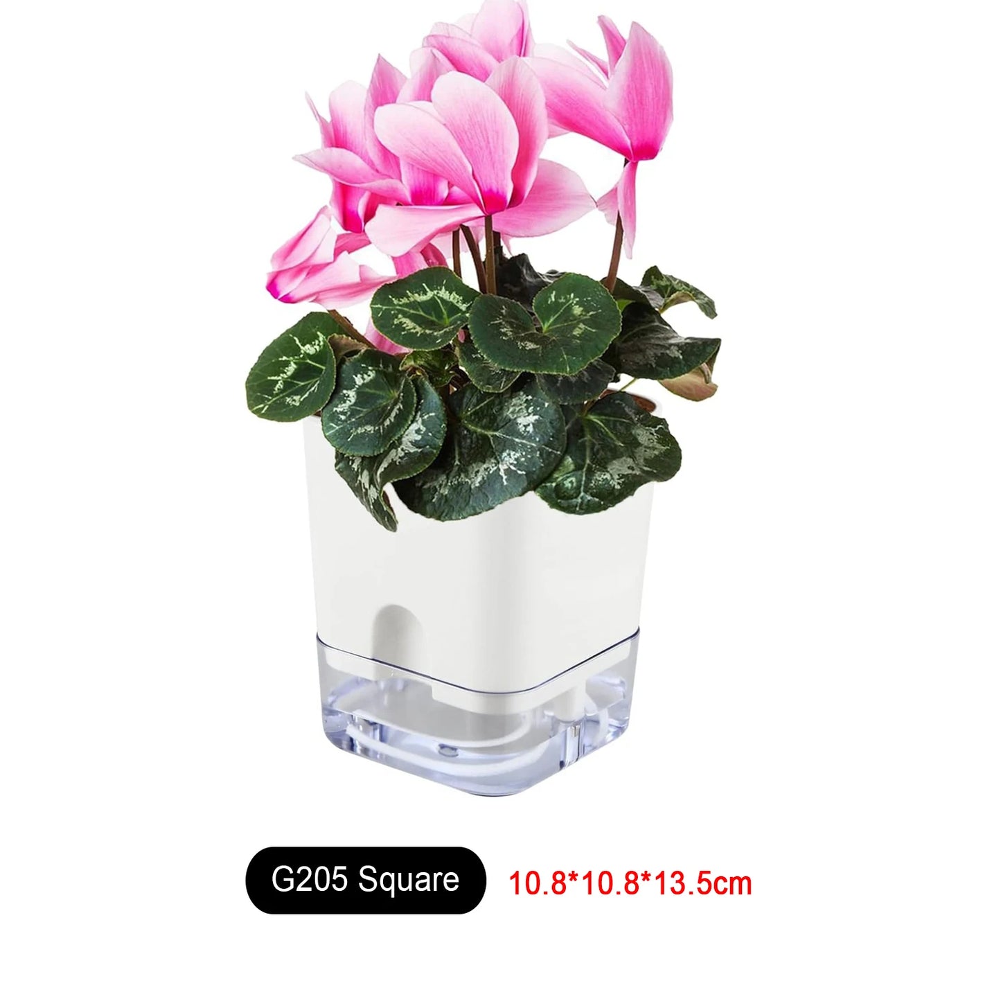 Self-Watering Plant Pot