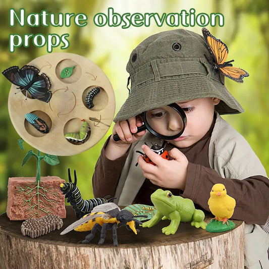 Children Simulation Biology Model Toy
