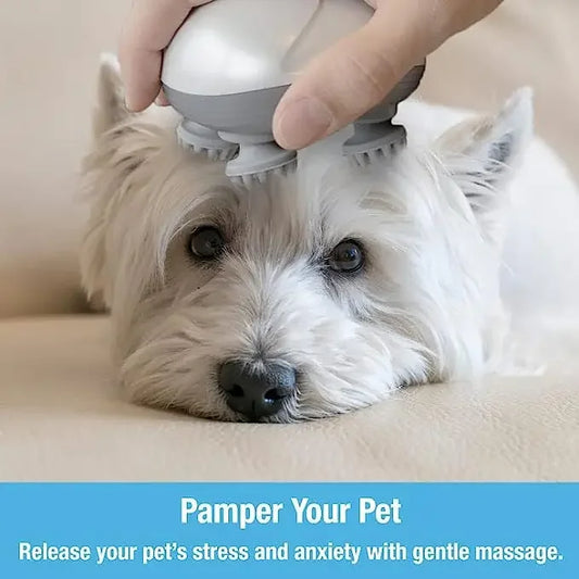 Electric Cat & Dog Massager