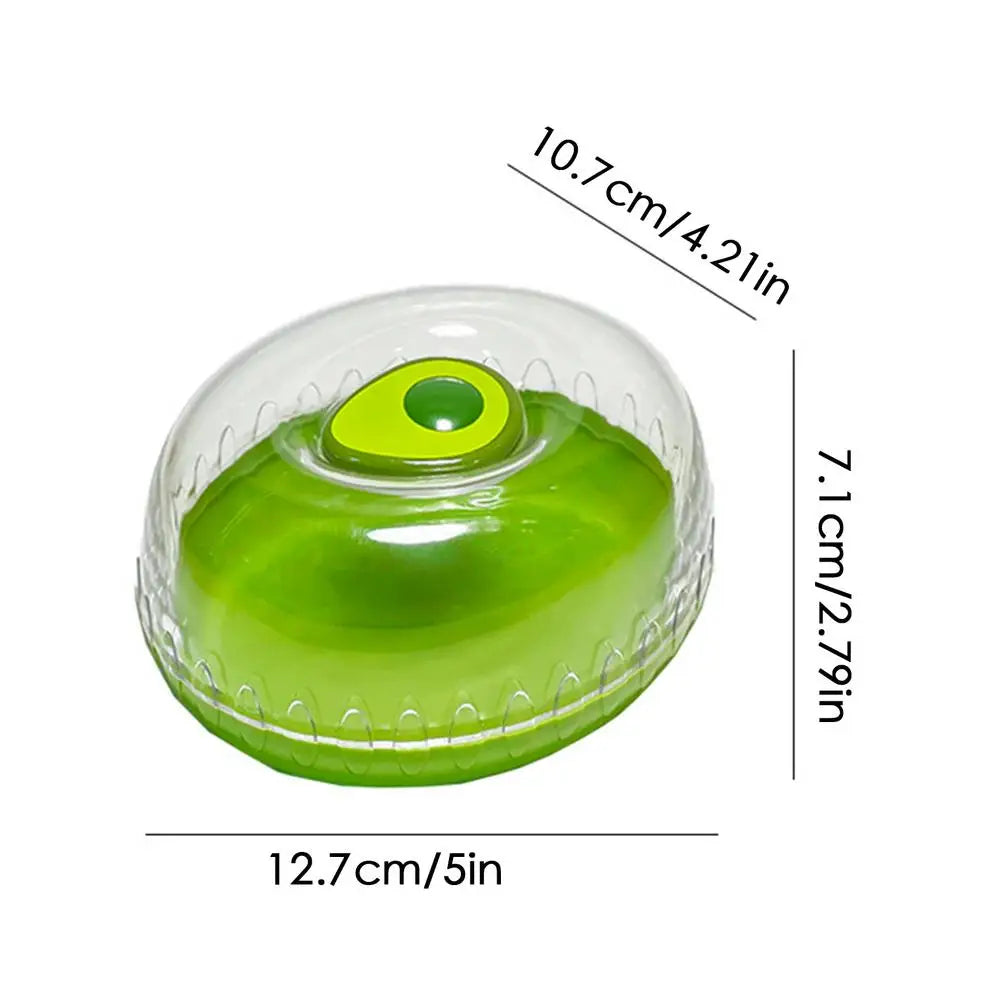 Fruit Preservation Box