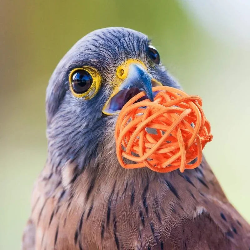 10Pcs Pet Bird Rattan Ball