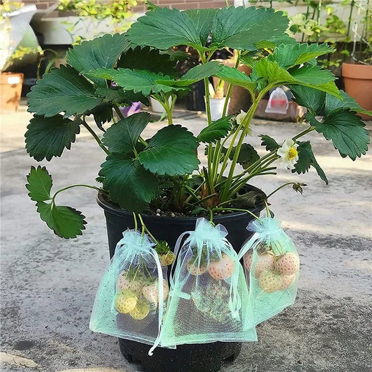 1-100Pcs Grapes Fruit Grow Bags
