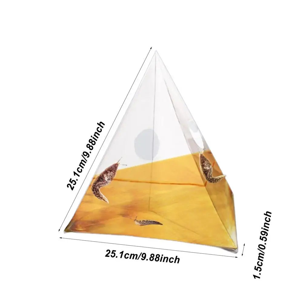 Reusable Slug Beer Traps