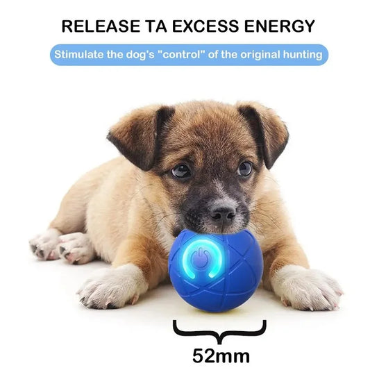 Interactive Automatic Rolling Dog Ball