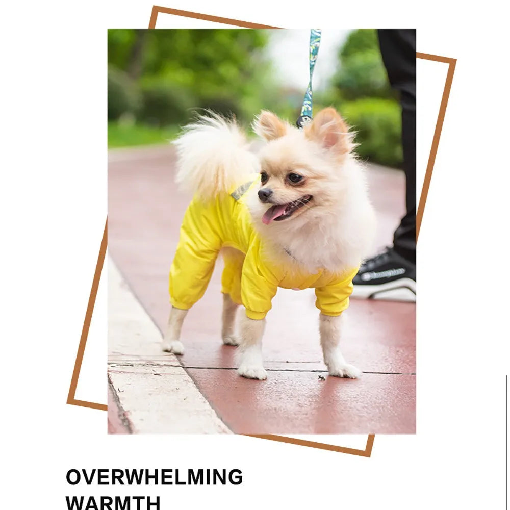 Pet Dog Raincoat