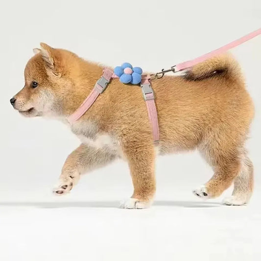Breathable Adjustable Pet Harness & Leash Set
