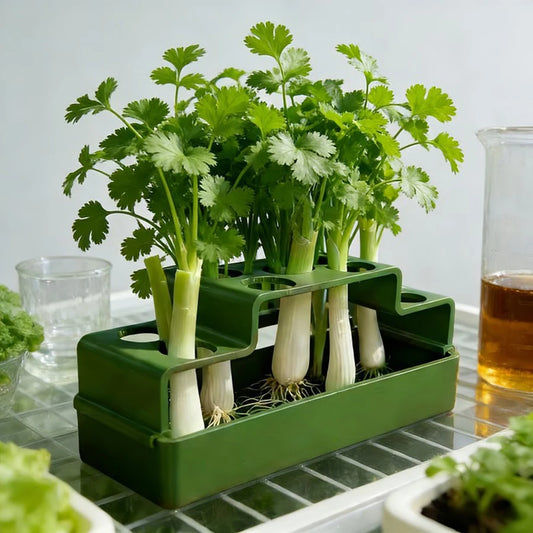 Hydroponic Green Onion Growing Planter