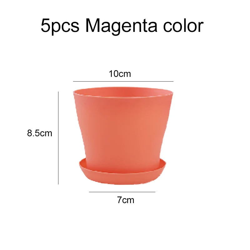 Mini Flower Pot with Tray