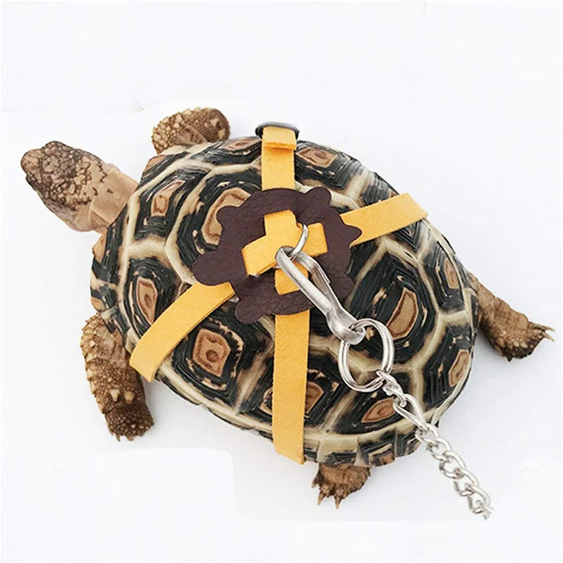 Pet Turtle Traction Rope Safety Belt