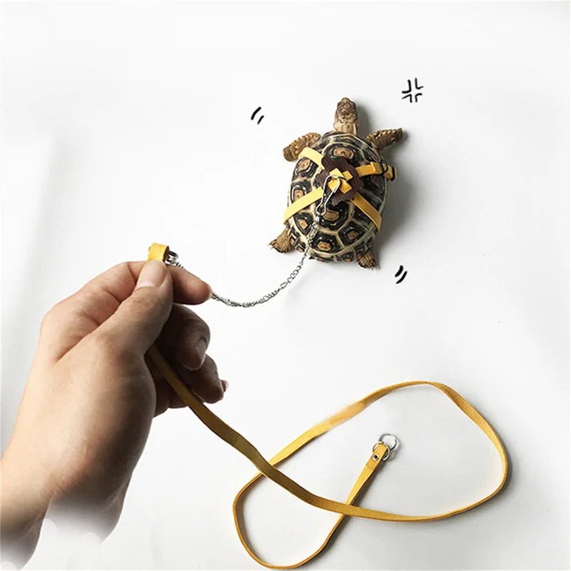 Pet Turtle Traction Rope Safety Belt