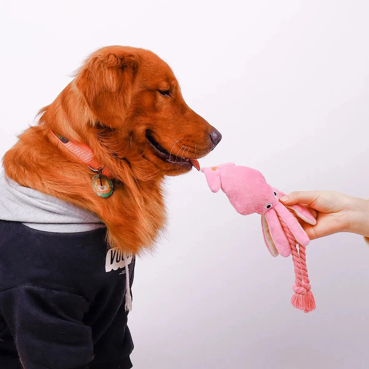 Octopus Plush Rope Dog Toy