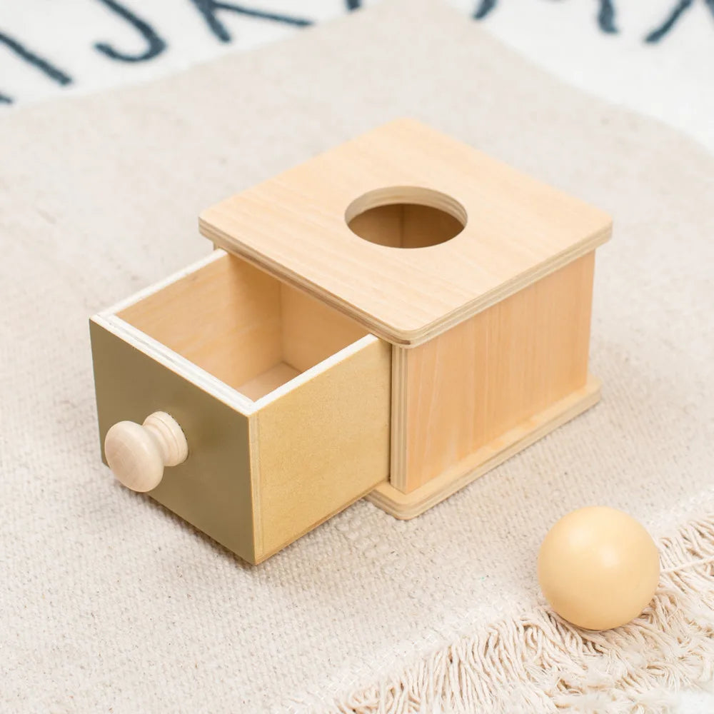 Montessori Infant Wooden Toys