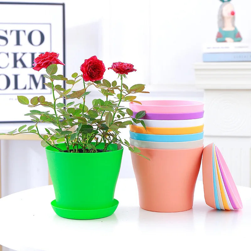 Mini Flower Pot with Tray