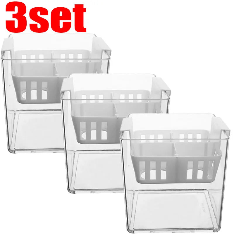 Clear Hydroponic Tulip Growing Kit with 4-Bulb Basket
