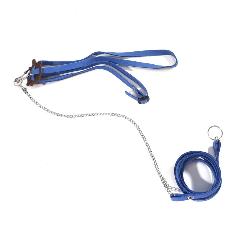 Pet Turtle Traction Rope Safety Belt
