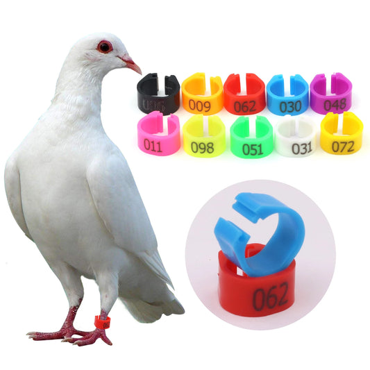 100 Pcs 10 Colors Foot Ring with Text Birds Training Tool