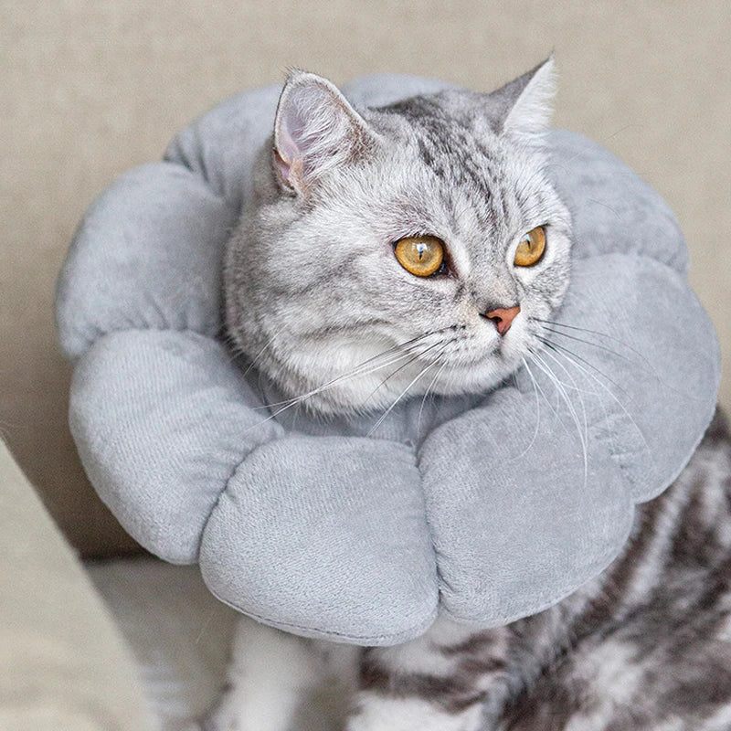 Sunflower Recovery Collar for Cats & Small Dogs
