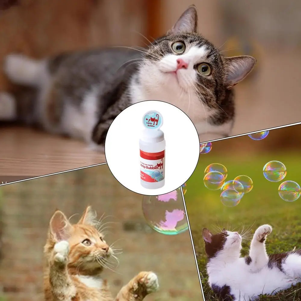 Catnip Infused Bubble Play Toy for Indoor & Outdoor Cats