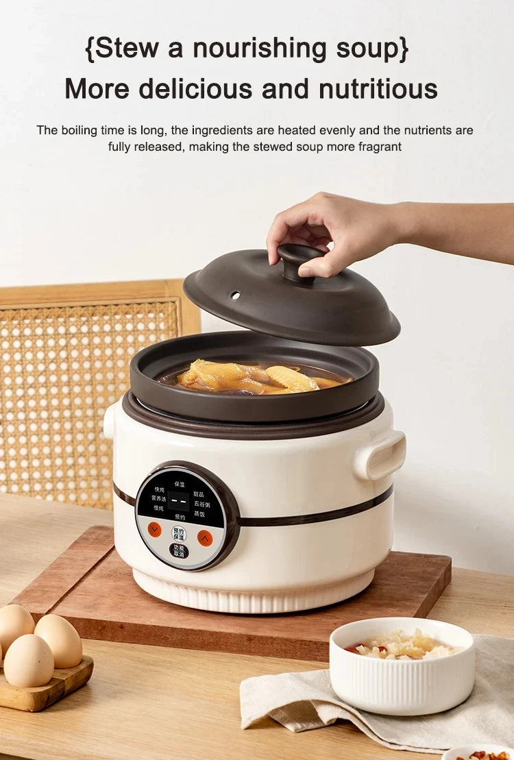 Electric Rice Cooker