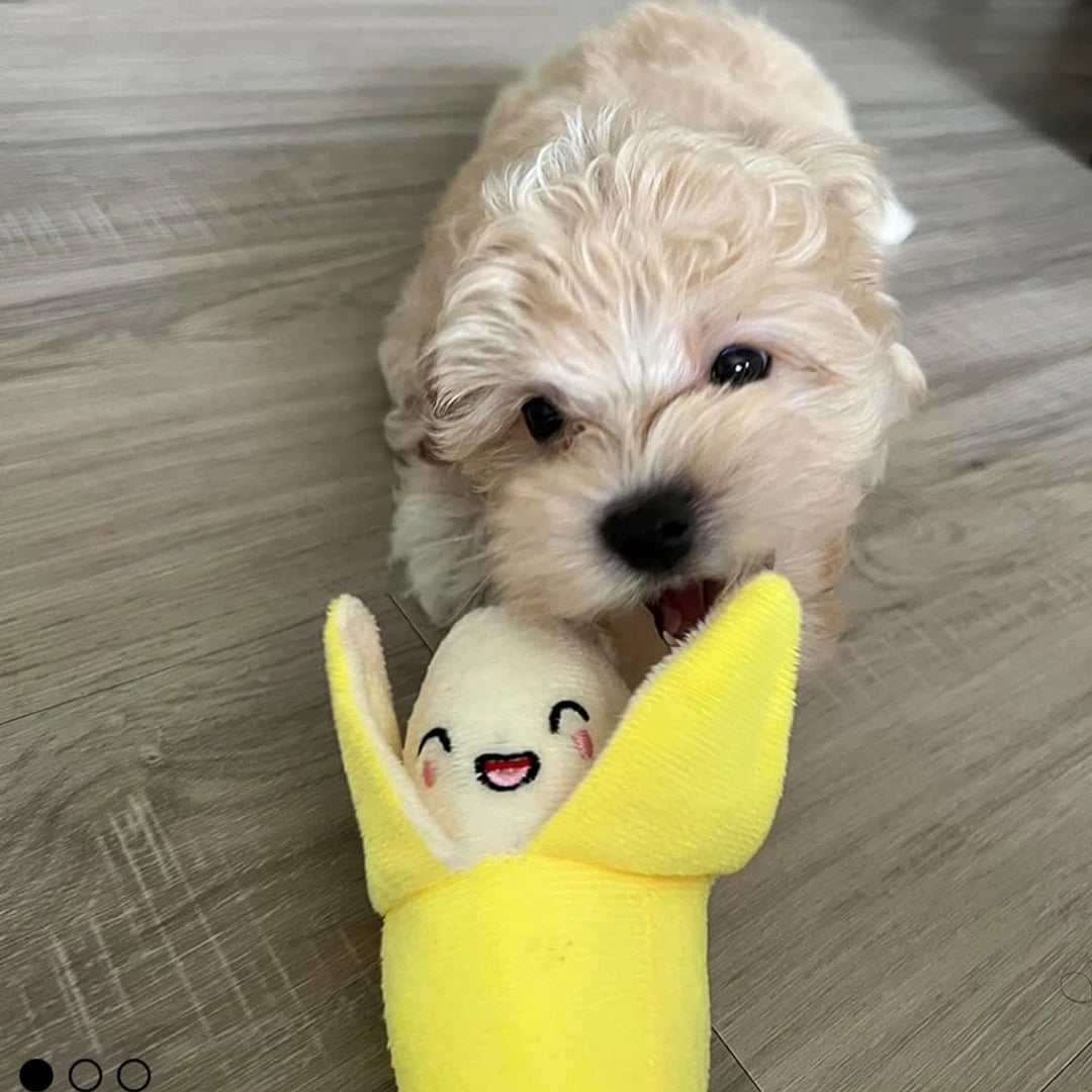 Plush Fruit & Vegetable Squeaky Dog Toy Collection