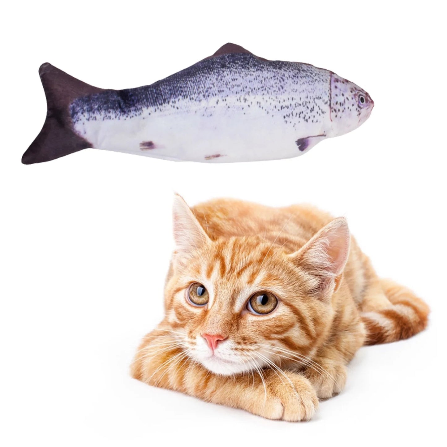 USB Rechargeable Interactive Floppy Fish Cat Toy