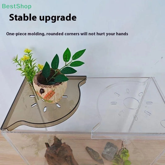 Aquarium Corner Storage Shelf for Plants & Accessories