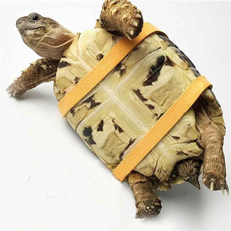 Pet Turtle Traction Rope Safety Belt