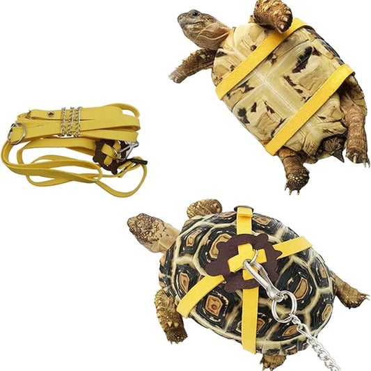 Turtle Harness & Walking Leash
