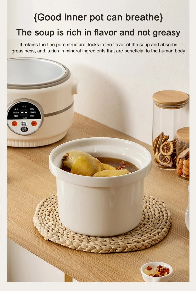 Electric Rice Cooker