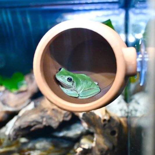 Reptile Cave Hide & Feeding Shelter for Geckos, Frogs & Lizards