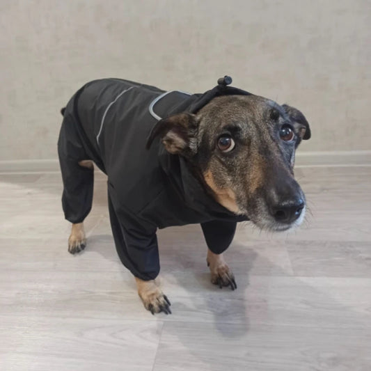 Full Coverage Waterproof Dog Raincoat Jumpsuit